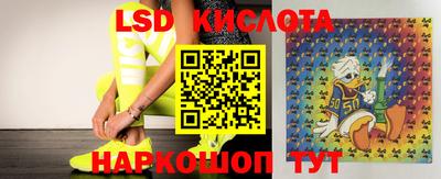 MESCALINE Гатчина
