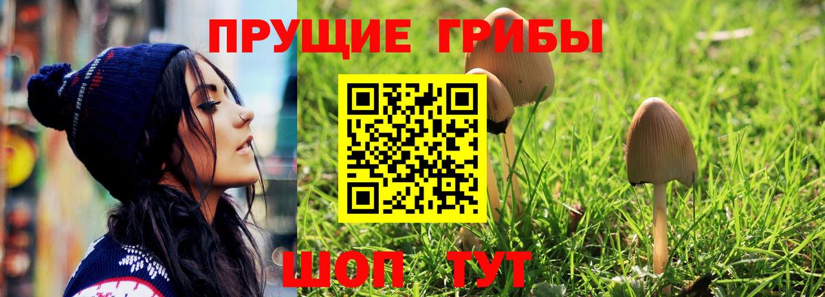 Псилоцибиновые грибы Cubensis Лангепас
